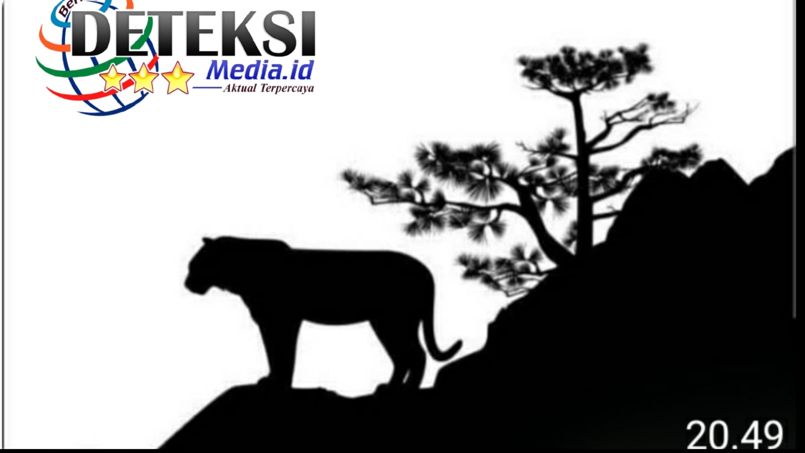Seekor Harimau di Puncak Gunung … Singgasana Kekuasaan Yang Menelan Rakyatnya Sendiri ….