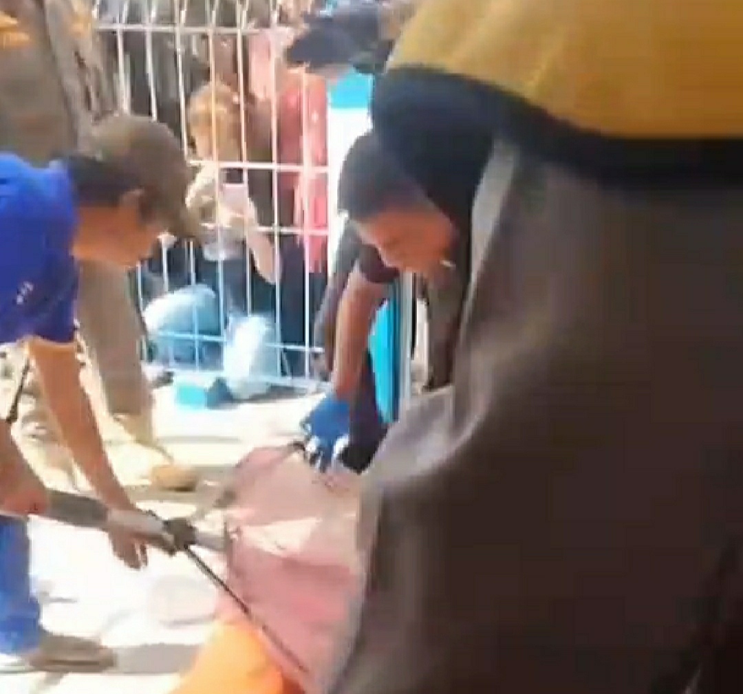 Ditemukan Bayi, Mengambang di Dam Rowotamtu Kecamatan Rambipuji Jember