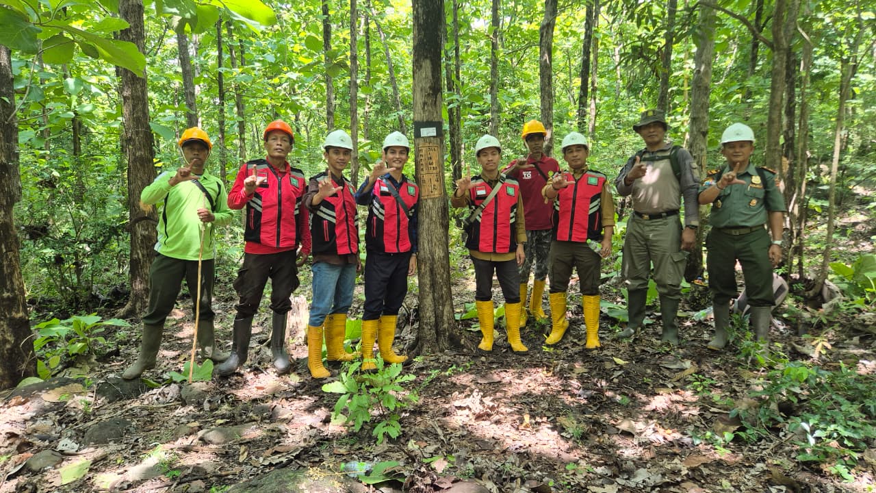 Perhutani KPH Bondowoso Dukung Verifikasi Aset Biologis dan Pengecekan Sarpras oleh KJPP