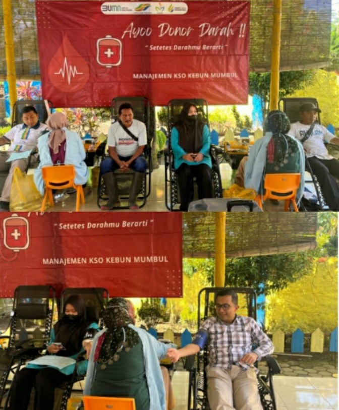 Menjadi Pilar Stok Donor Darah!! Perkebunan MKSO Mumbul Berhasil Himpun Puluhan Kantong