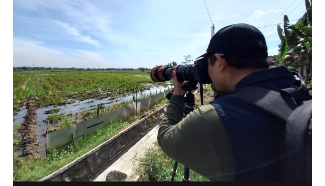 Mahasiswa di Tulungagung amati jalur migrasi Ribuan burung dari Cina dan Rusia