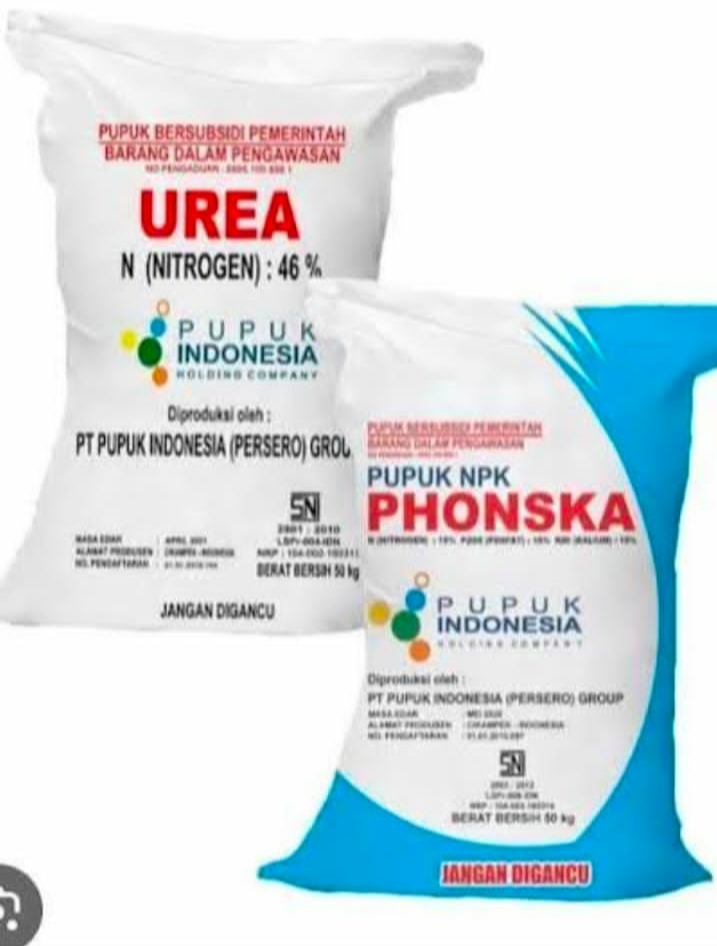 Tuntut keadilan harga, kios pupuk se kecamatan besuki diduga kompak tetapkan harga 200rb per kwintal