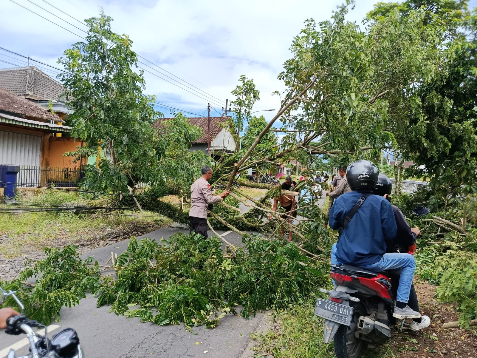 Polisi Bersama Dinas Terkait Evakuasi Pohon Tumbang