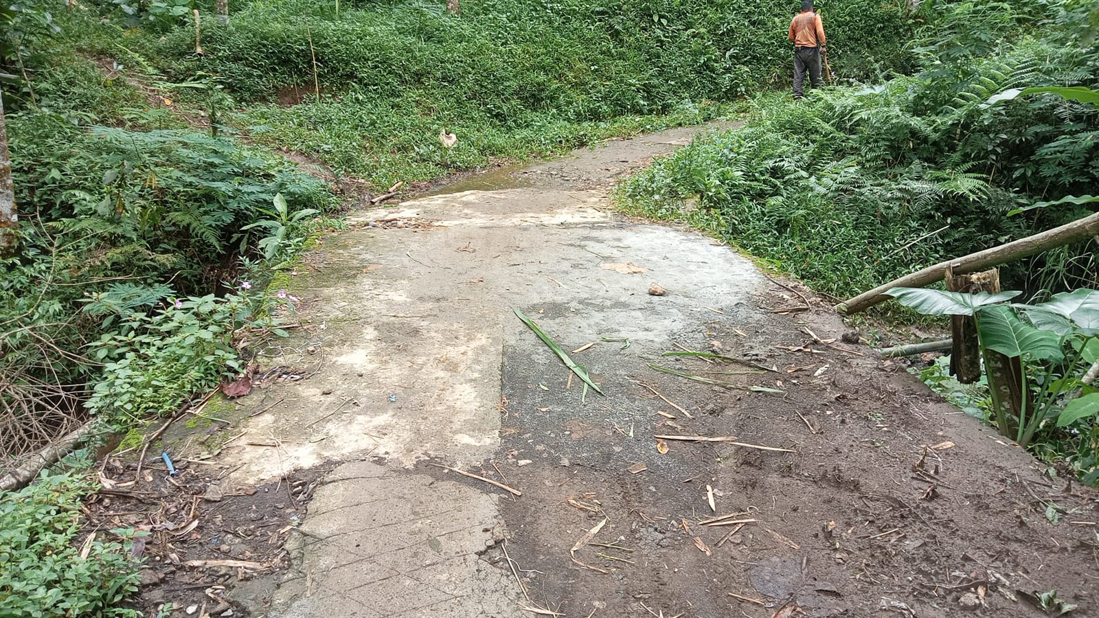 Diduga jembatan fiktif, proyek dana desa di tambelang di sorot warga.