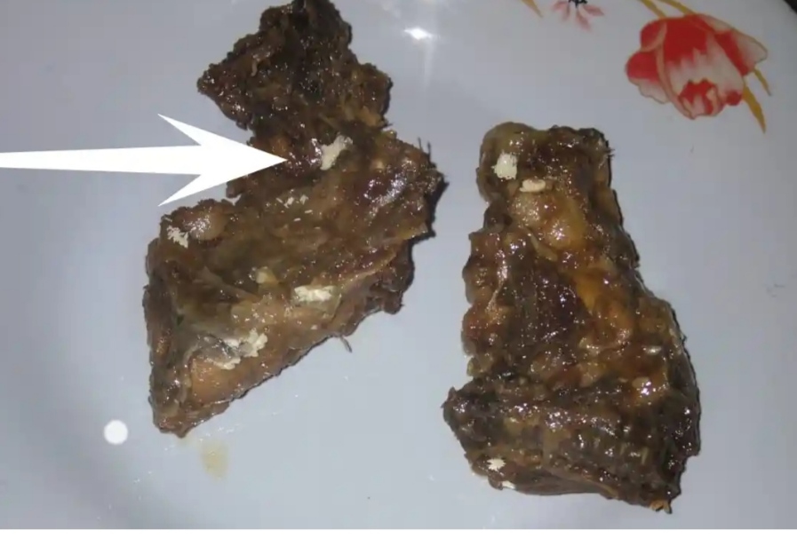 Warga Kampak Trenggalek Geger Atas Dugaan Temuan Telur Belatung dan Ulat di Menu MBG