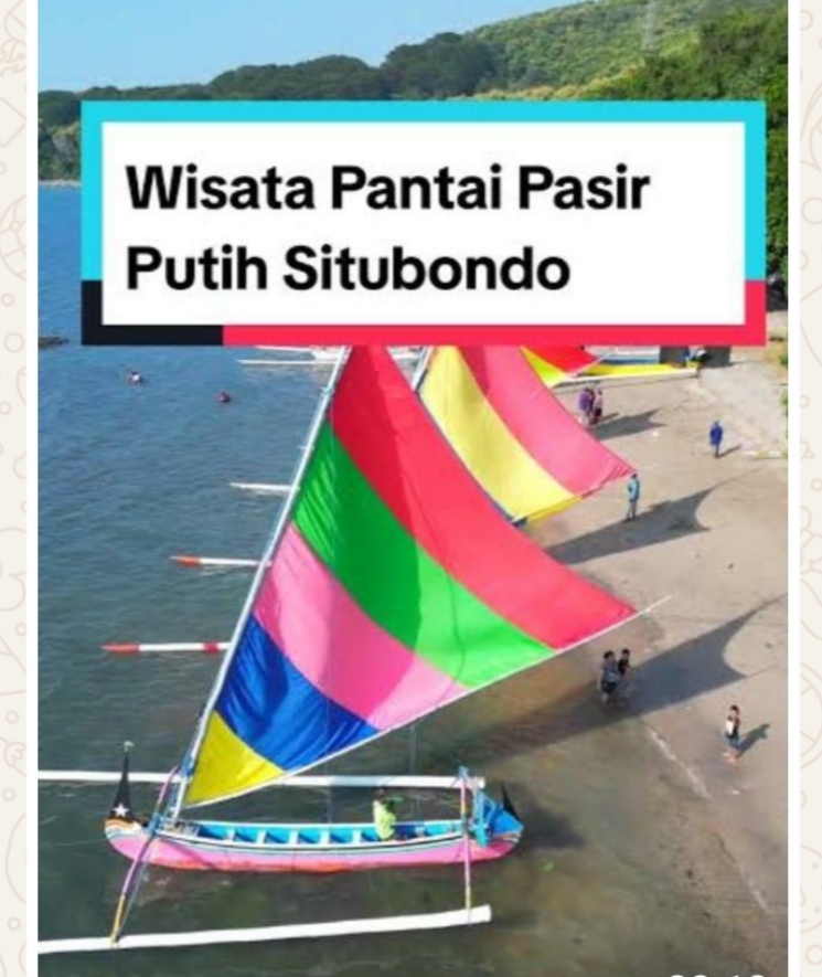 Sengkarut Honorarium Pasir Putih: Camat Merangkap Koordinator, Sah atau Cacat Aturan? 💫💫💫