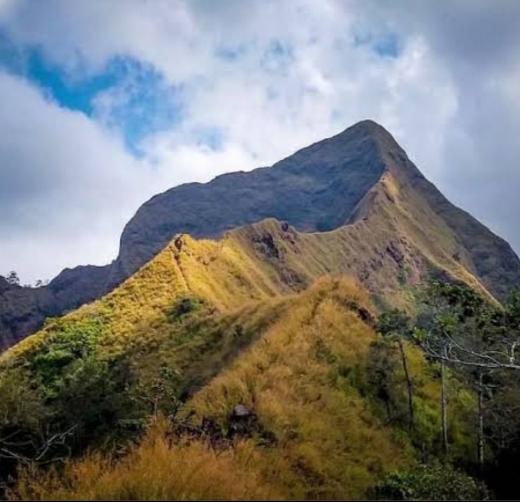 LAGI LAGI PENDAKI HILANG DI GUNUNG PIRAMID  Dua Orang Pendaki Dilaporkan Hilang di Gunung Piramid, BPBD Bondowoso Bersama Tim SAR Gabungan Terjunkan Personel Pencarian
